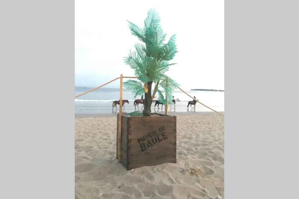 Appartement La Baule 5 Pers A 50 M De Plage Εξωτερικό φωτογραφία